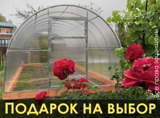 Теплицы из поликарбоната от "Дом Теплиц" с доставкой недорого в Курск